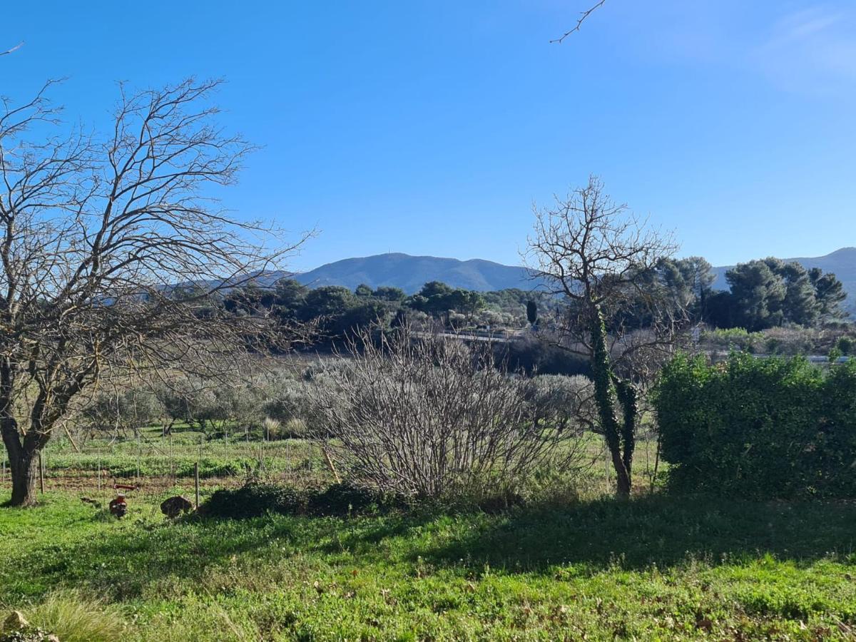 Studio Vintage Carnoules  Εξωτερικό φωτογραφία