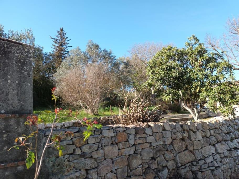 Studio Vintage Carnoules  Εξωτερικό φωτογραφία