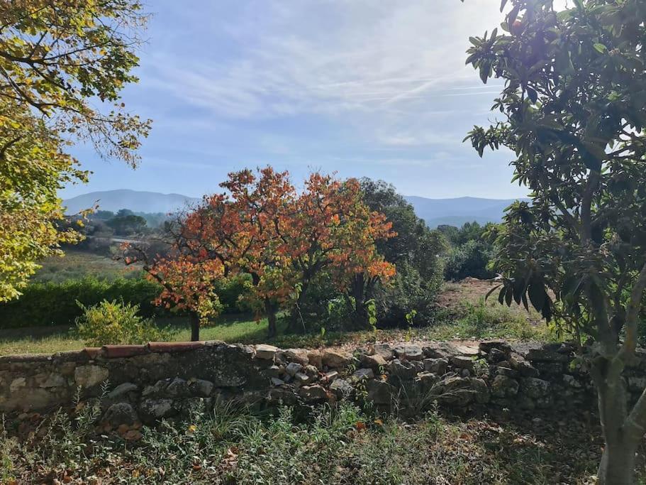 Studio Vintage Carnoules  Εξωτερικό φωτογραφία