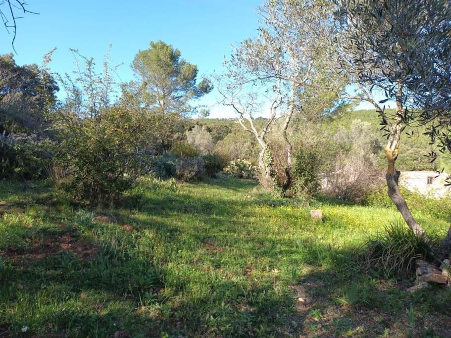 Studio Vintage Carnoules  Εξωτερικό φωτογραφία