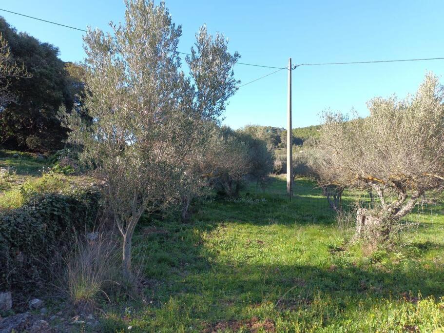 Studio Vintage Carnoules  Εξωτερικό φωτογραφία